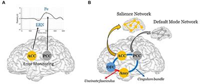 The dual-path hypothesis for the emergence of anosognosia in Alzheimer’s disease